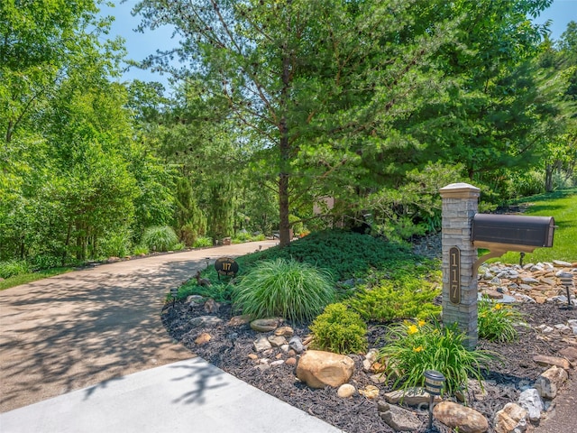 117 Eagles Crest Way, Lake Lure, NC 28746 - view of yard featuring driveway