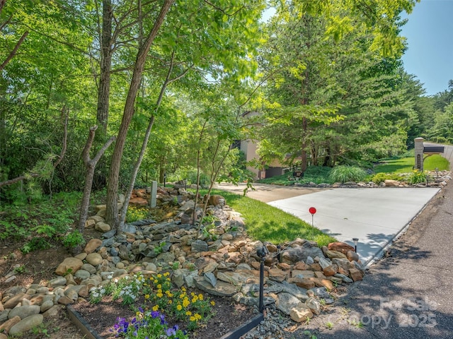 117 Eagles Crest Way, Lake Lure, NC 28746 - view of yard