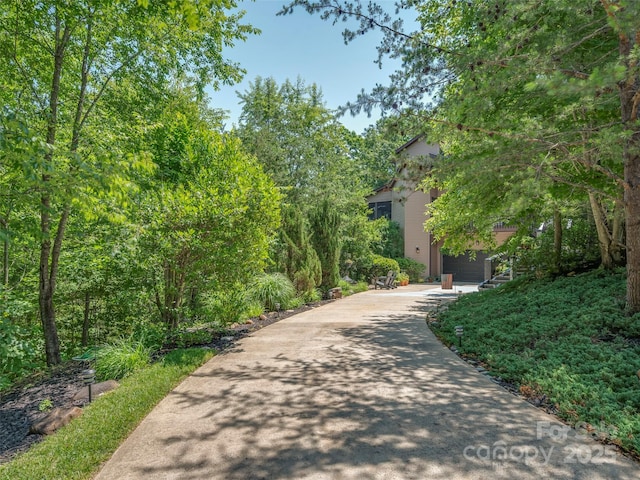 117 Eagles Crest Way, Lake Lure, NC 28746 - surrounding community with concrete driveway