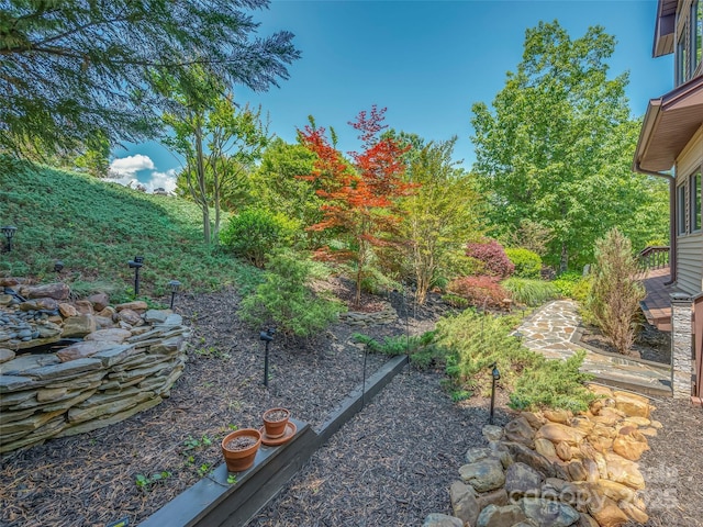 117 Eagles Crest Way, Lake Lure, NC 28746 - view of yard