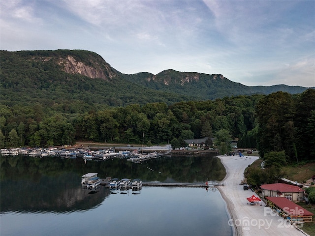 117 Eagles Crest Way, Lake Lure, NC 28746 - water view featuring a heavily wooded area and a mountain backdrop