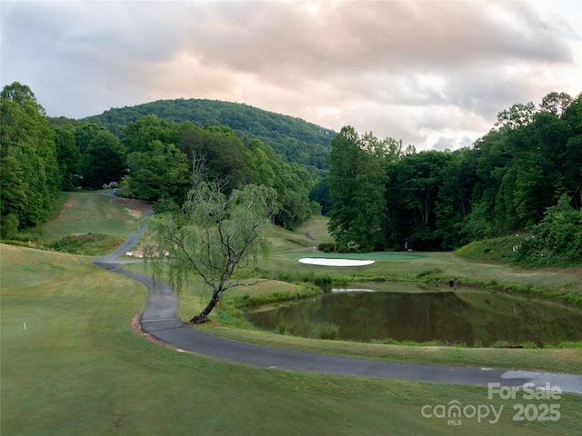117 Eagles Crest Way, Lake Lure, NC 28746 - view of community featuring a water view and a forest view