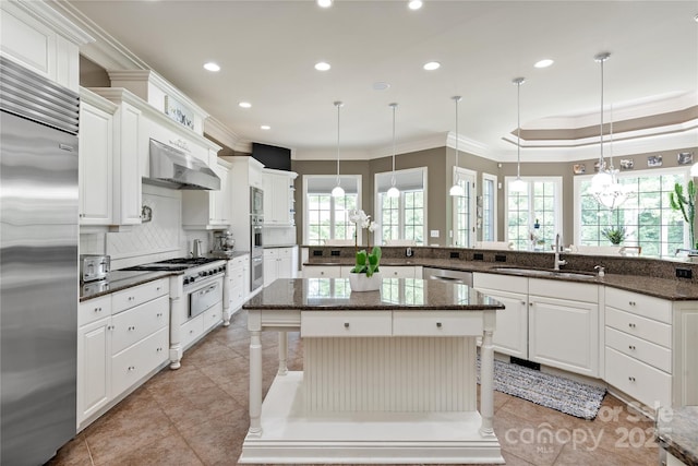 1032 Seminole Dr, Waxhaw, NC 28173 - kitchen featuring a sink, stainless steel appliances, ornamental molding, recessed lighting, and under cabinet range hood
