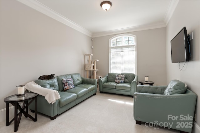 1032 Seminole Dr, Waxhaw, NC 28173 - living room featuring crown molding and light colored carpet