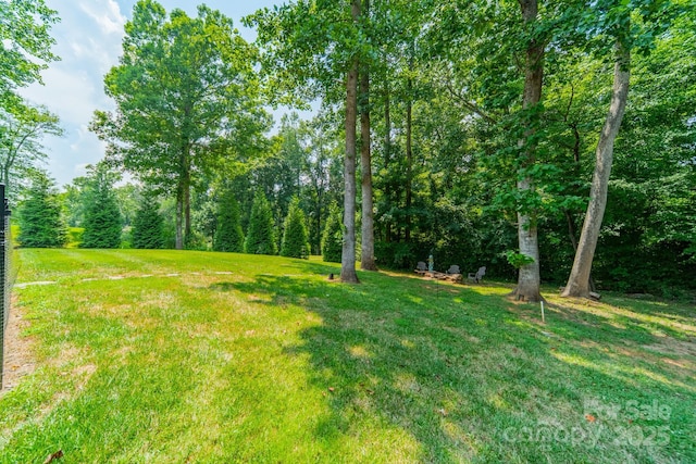 1032 Seminole Dr, Waxhaw, NC 28173 - view of grassy yard
