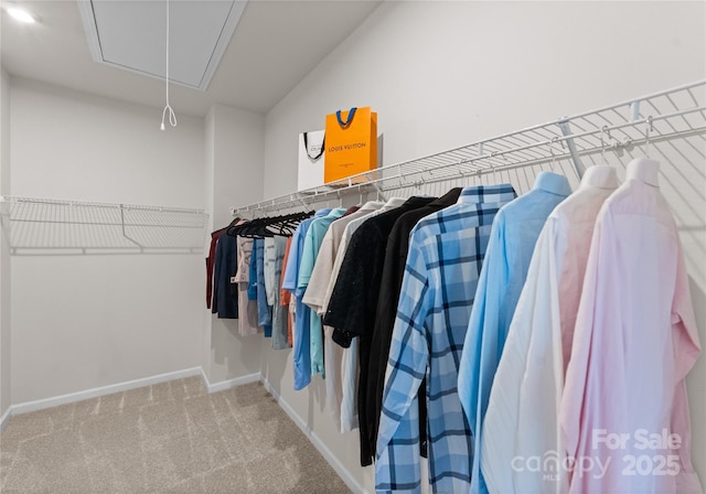 5481 Comiskey Aly, Kannapolis, NC 28081 - spacious closet with attic access and carpet flooring