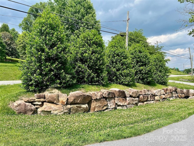 668 Old Hendersonville Hwy, Brevard, NC 28712 - photo 35