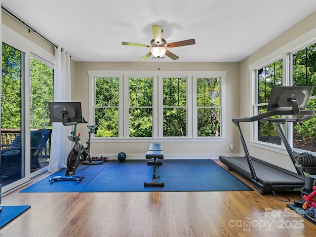 207 Hogans View Cir, Hendersonville, NC 28739 - exercise room with ceiling fan, plenty of natural light, and wood finished floors
