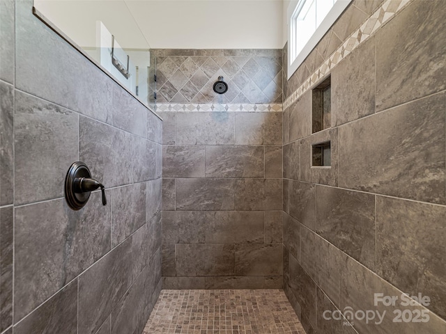 207 Hogans View Cir, Hendersonville, NC 28739 - full bathroom featuring a tile shower