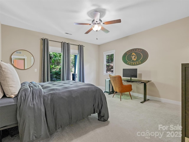 207 Hogans View Cir, Hendersonville, NC 28739 - bedroom featuring carpet floors and a ceiling fan
