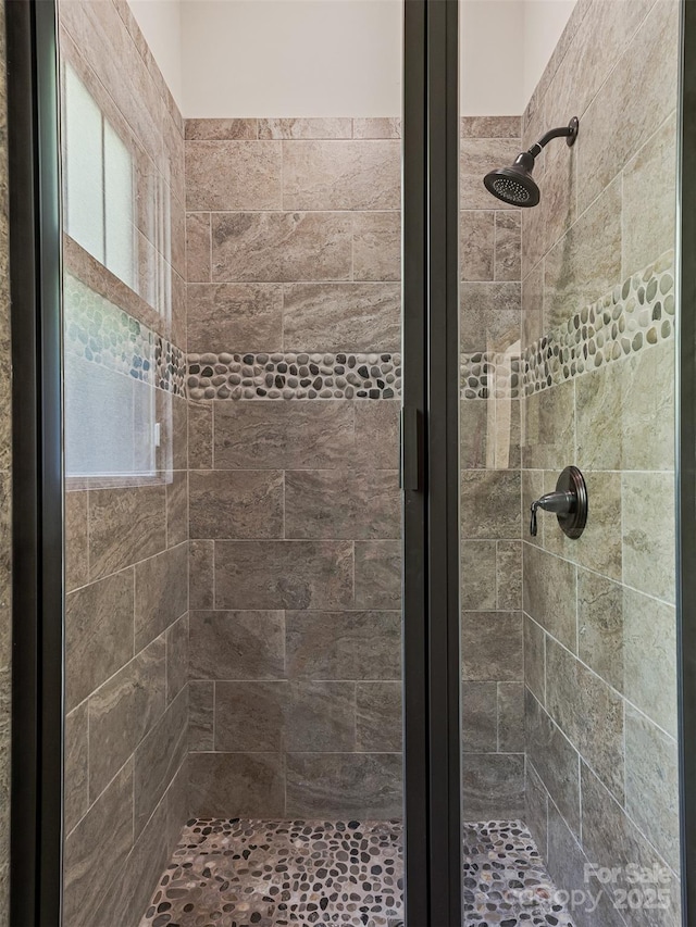 207 Hogans View Cir, Hendersonville, NC 28739 - bathroom with a shower stall