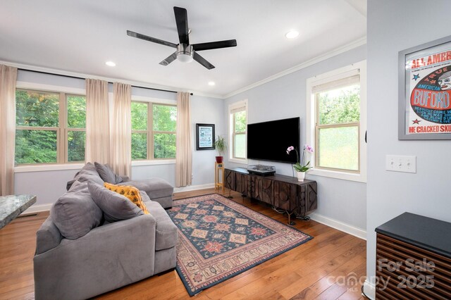 20 Central Ave W, Asheville, NC 28806 - photo 10