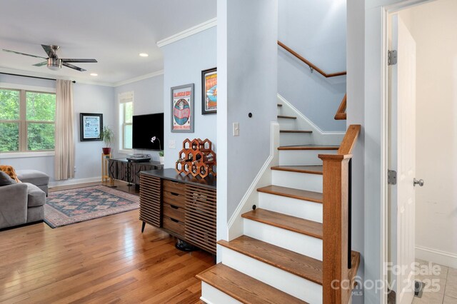 20 Central Ave W, Asheville, NC 28806 - photo 17