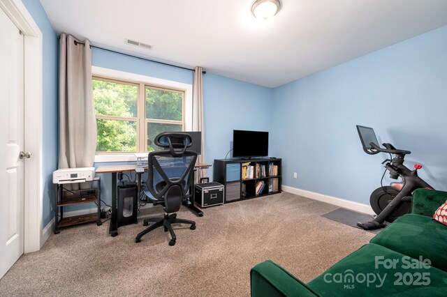 20 Central Ave W, Asheville, NC 28806 - photo 21