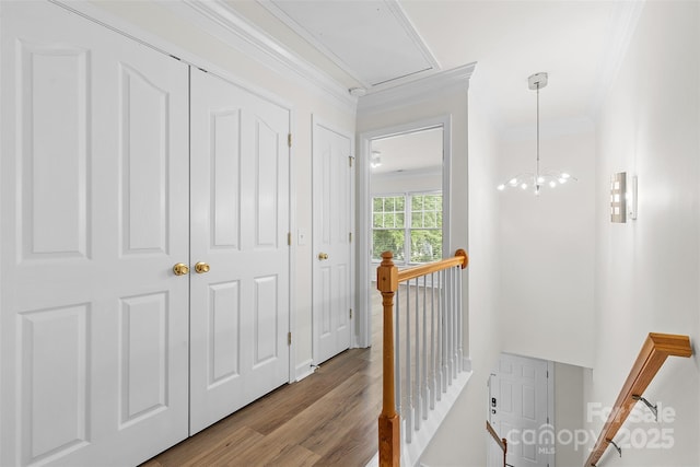 1123 Market St, Fort Mill, SC 29708 - photo 26