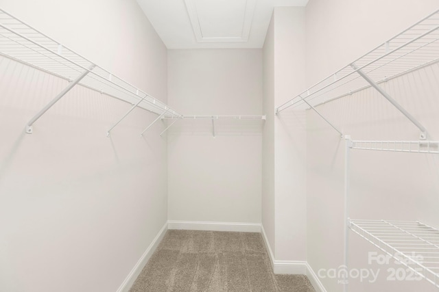 212 Queens Ct, Gastonia, NC 28052 - spacious closet with carpet flooring