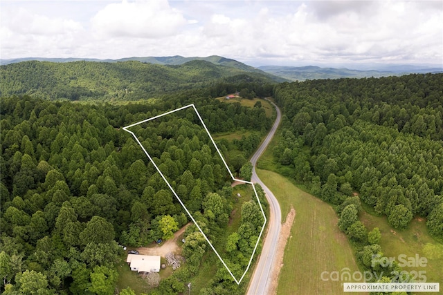 00 Pinnacle Mountain Rd, Zirconia, NC 28790 - photo 1
