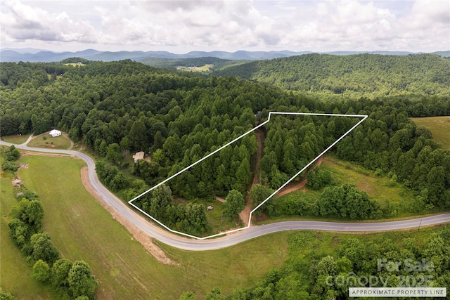 00 Pinnacle Mountain Rd, Zirconia, NC 28790 - photo 2