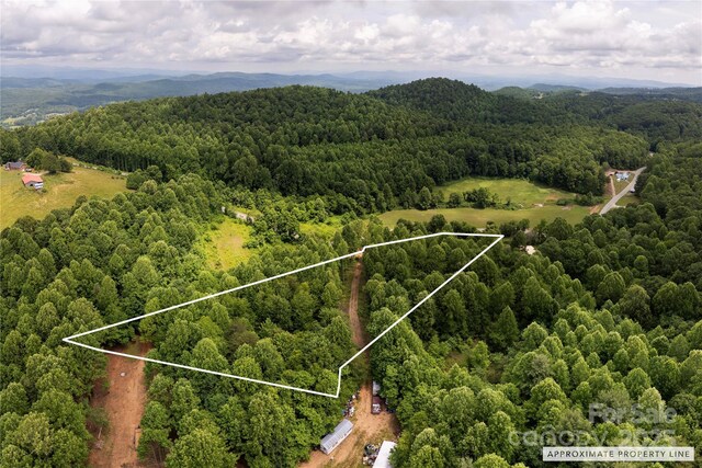 00 Pinnacle Mountain Rd, Zirconia, NC 28790 - photo 3