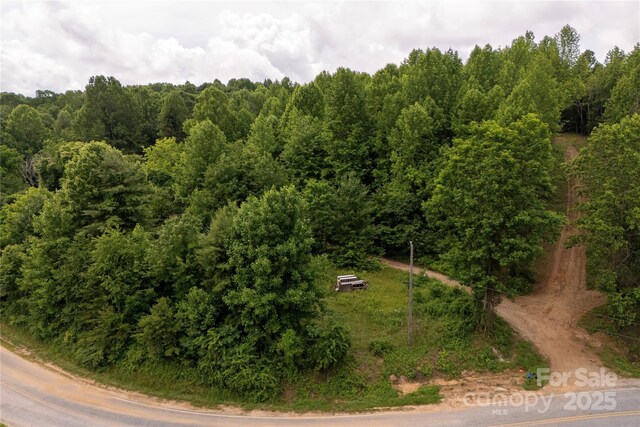 00 Pinnacle Mountain Rd, Zirconia, NC 28790 - photo 4