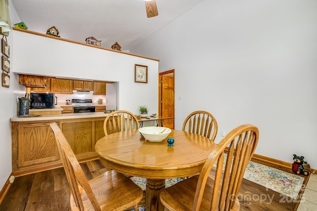 2763 Crabtree Rd, Spruce Pine, NC 28777 - dining area featuring dark wood-style flooring, high vaulted ceiling, and baseboards