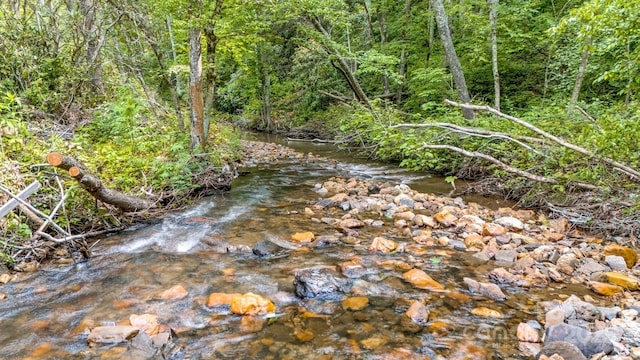 2763 Crabtree Rd, Spruce Pine, NC 28777 - view of woods