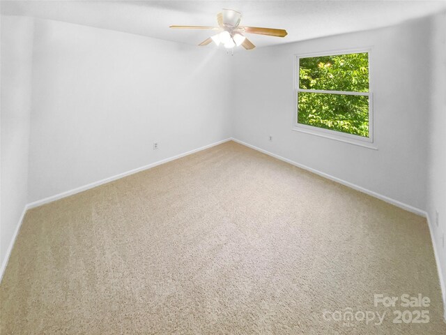 7737 Batavia Ln, Charlotte, NC 28213 - photo 15