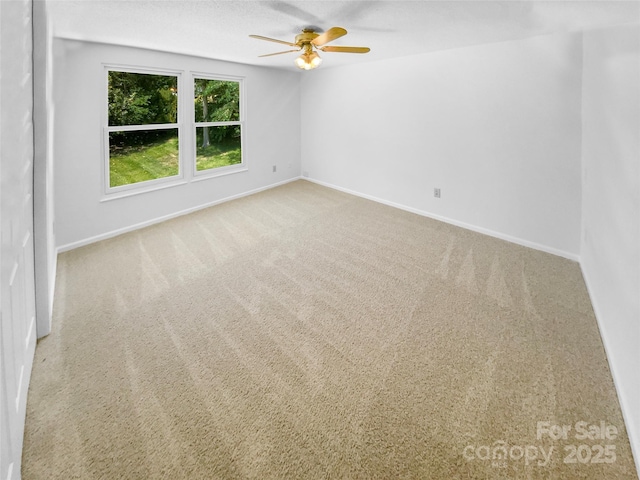 7737 Batavia Ln, Charlotte, NC 28213 - photo 17