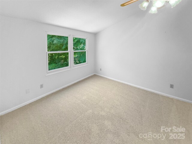 7737 Batavia Ln, Charlotte, NC 28213 - photo 20