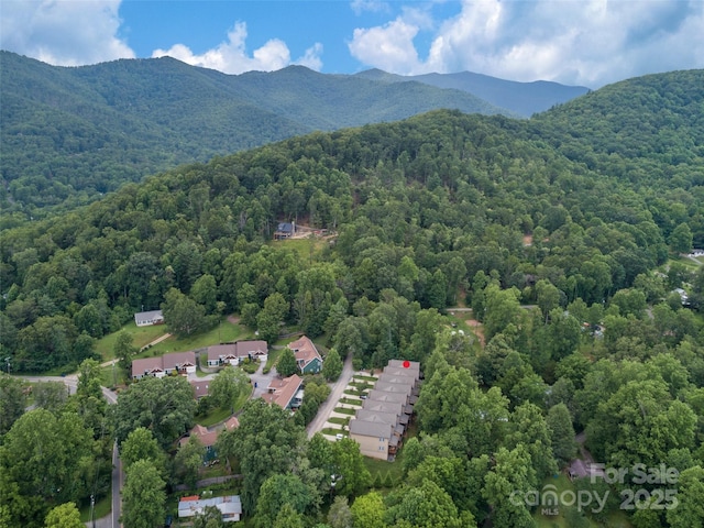 220 Rainbow Ter, Black Mountain, NC 28711 - photo 2
