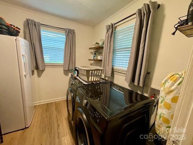 135 Michelle Dr, Ellenboro, NC 28040 - washroom featuring independent washer and dryer, light wood-type flooring, a textured ceiling, plenty of natural light, and baseboards