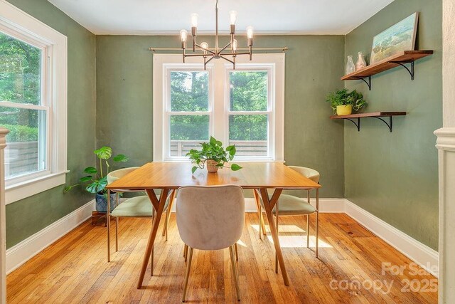 106 Shelburne Rd, Asheville, NC 28806 - photo 6