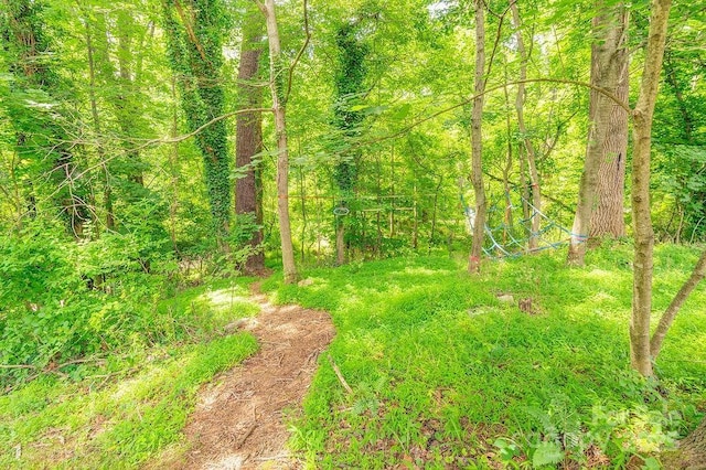 106 Shelburne Rd, Asheville, NC 28806 - photo 35