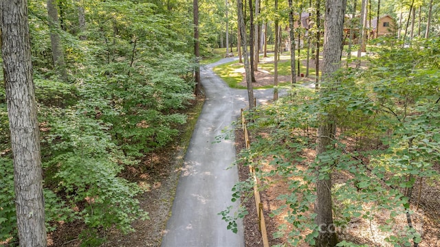 2709 Blythe Rd, Waxhaw, NC 28173 - view of road with a forest view