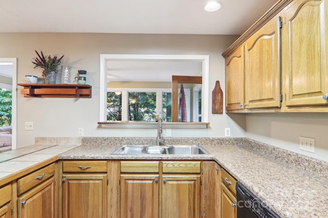 123 Brandymill Loop, Etowah, NC 28729 - kitchen featuring a sink, light countertops, and dishwashing machine