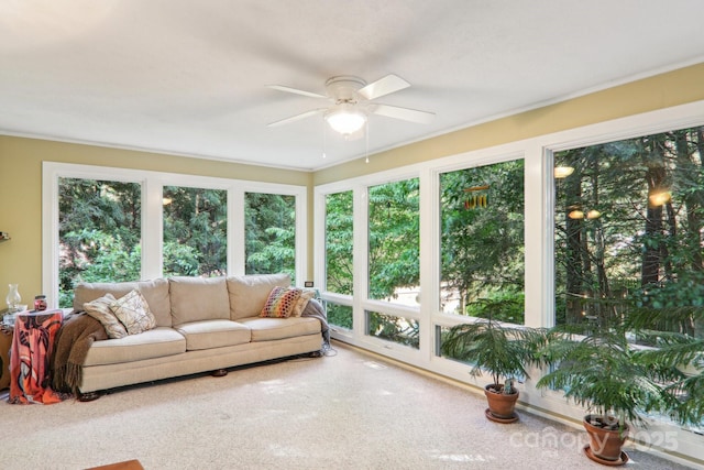 123 Brandymill Loop, Etowah, NC 28729 - sunroom / solarium with healthy amount of natural light, carpet flooring, and ornamental molding