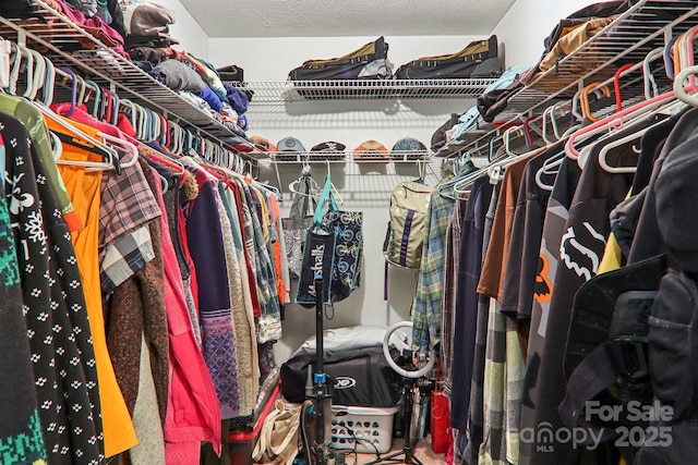 123 Brandymill Loop, Etowah, NC 28729 - view of spacious closet