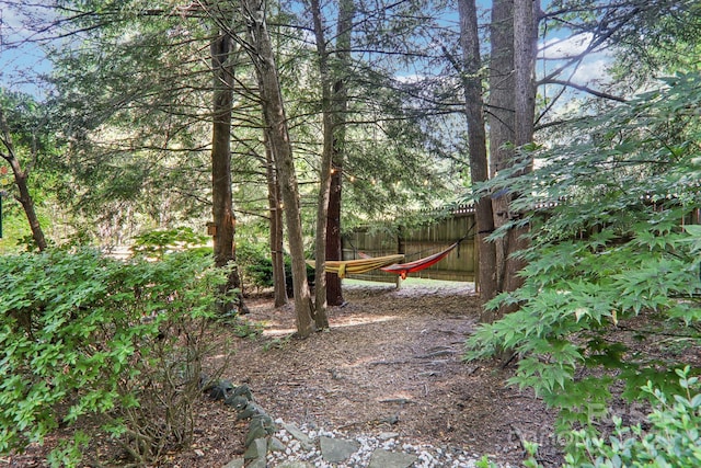 123 Brandymill Loop, Etowah, NC 28729 - view of yard