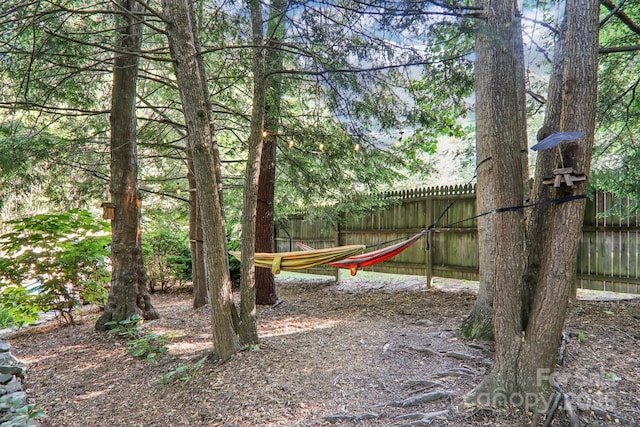 123 Brandymill Loop, Etowah, NC 28729 - view of yard