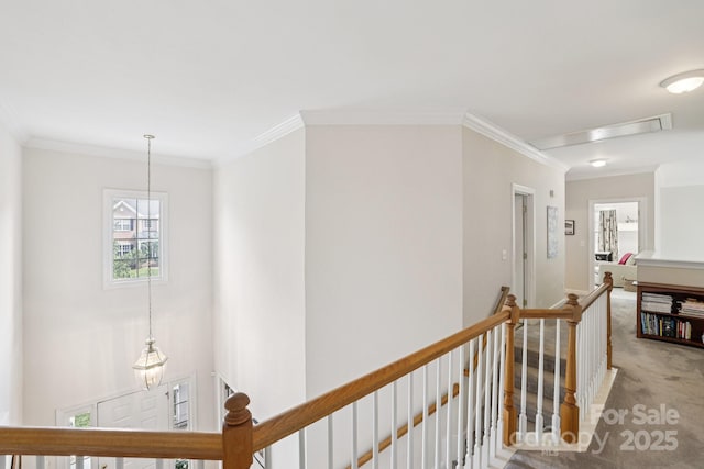 11103 Fountaingrove Dr, Charlotte, NC 28262 - corridor with an upstairs landing, carpet floors, and ornamental molding