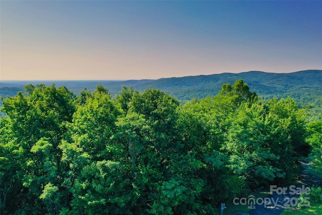 0 Tahawus Dr Unit 71/72, Bostic, NC 28018