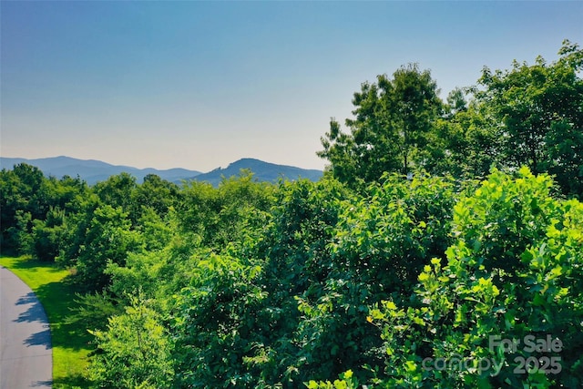 0 Tahawus Dr Unit 71/72, Bostic, NC 28018