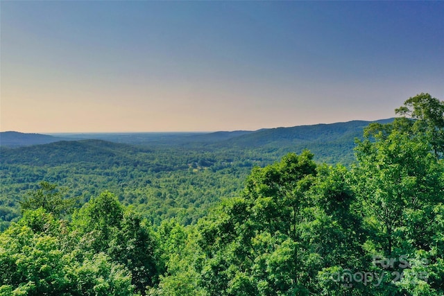 0 Tahawus Dr Unit 71/72, Bostic, NC 28018