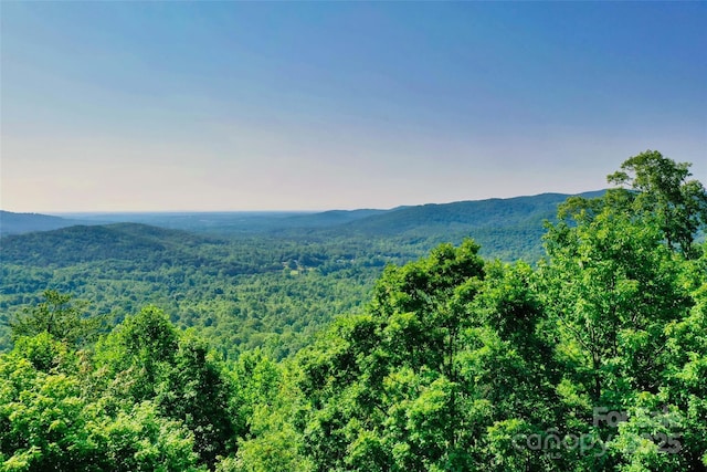 0 Tahawus Dr Unit 71/72, Bostic, NC 28018