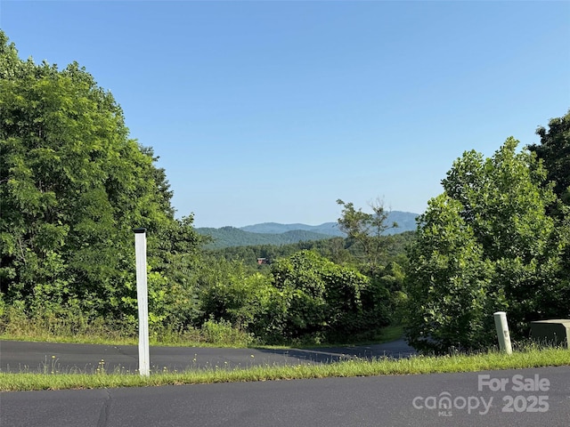 0 Tahawus Dr Unit 71/72, Bostic, NC 28018