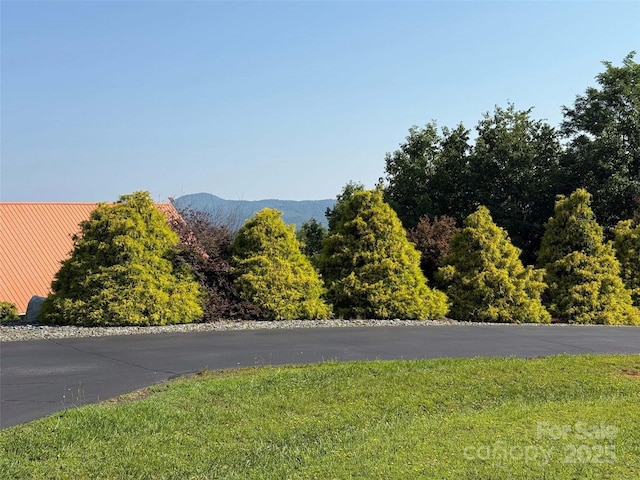0 Tahawus Dr Unit 71/72, Bostic, NC 28018