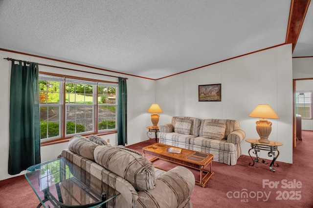 7232 Executive Cir, Denver, NC 28037 - living area featuring ornamental molding, carpet, lofted ceiling, and a textured ceiling