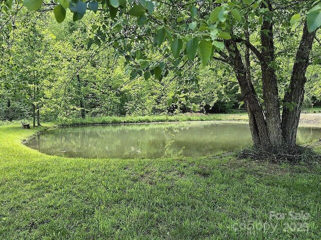 56 Talking Leaves Ln, Bakersville, NC 28705 - photo 22