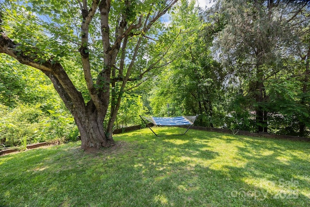 6 Willies Hl, Fletcher, NC 28732 - view of grassy yard