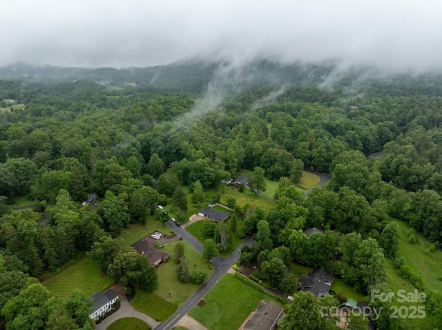 306 Tremont Park Cir SE, Lenoir, NC 28645 - aerial view of a forest